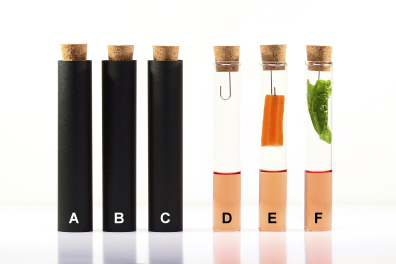 Echanges de gaz chez les végétaux - test au RC - conditions d'expérience initiales (t = 0)